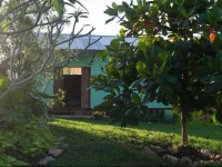 The Green House 