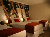Terravina Hotel del Vino 4*