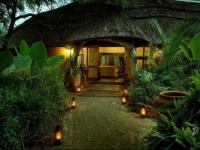Royal Tree Lodge 