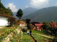Drubchu Resort 