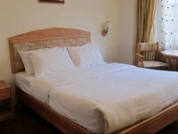 Phuntso Pelri Hotel 
