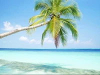 Maison la Plage Vanuatu Holiday Home 4*
