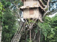 Tanna Lava View Bungalows 2*