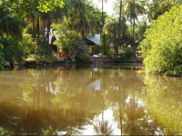 AbCas Creek Lodge
