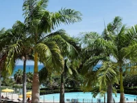 Pierre & Vacances Residence Premium Les Tamarins 