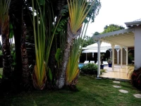 Habitation de lAnse Mancenillier 
