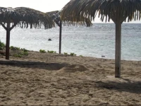 Les Piedanlo 