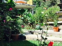 Posada de Don Jose Hotel Panajachel 3*
