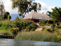 Hotel y Restaurante Bambu