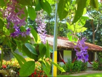 Hotel Hacienda El Jaral 3*