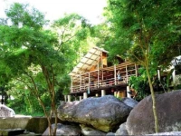 Jungle River Lodge 