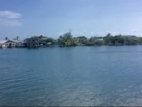 Tennyson Ocean Harbor 