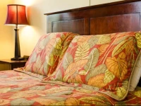 Paraiso Rainforest and Beach Hotel Omoa 