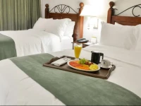 Hotel Plaza Del General 