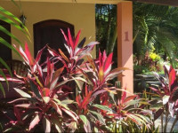 Tranquility Bay Beach Retreat