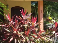 Tranquility Bay Beach Retreat 