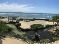 Paradise Regained 
