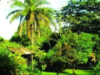 Hotel y Suites Villas del Valle 
