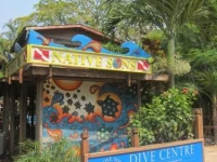 Hotel Chillies and Native Sons Diving 