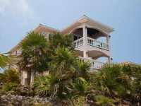 Coral Vista #3 