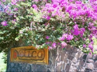 Exotica Cottages 