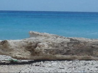 El ParaГ­so Perdido Beach Hotel