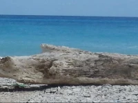 El ParaГ­so Perdido Beach Hotel 