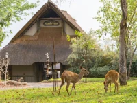 Victoria Falls Safari Suites 