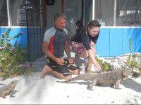 Sunset Cove Little Cayman