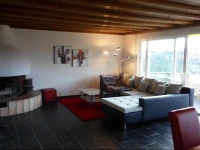 Penthouse Apartment in Vaduz 
