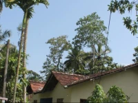 Indas House 