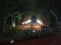 Mimosa Villa 