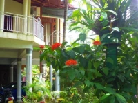 Udayamini Homestay 