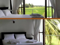 Heaven Upon Rice Fields 