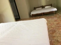 Green Flamingo Resort 
