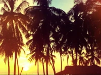 Upali Beach Surf Resort 