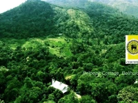 Belpeak Cottage 