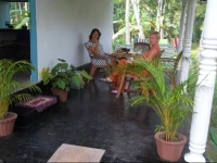 Jungle cottage Bentota 