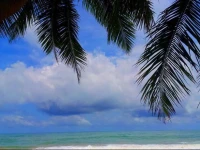 Ocean of Life Ayurvedic Resort 