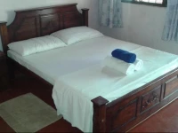 Osabda Guest 