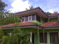 Manula Guest
