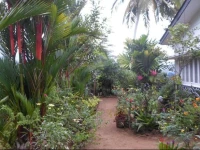 Sinharaja Tranquil Homestay 