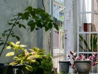 Sithila Villa 