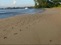 Duwawaththa Beach House