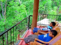 Eco friendly Ella Green Cottages 