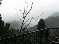 Ella Hide View 
