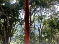 Nature Paradise Guest House 
