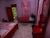 Nest Drop Inn 