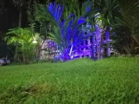 New Blue Home 
