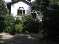 Peters Inn 